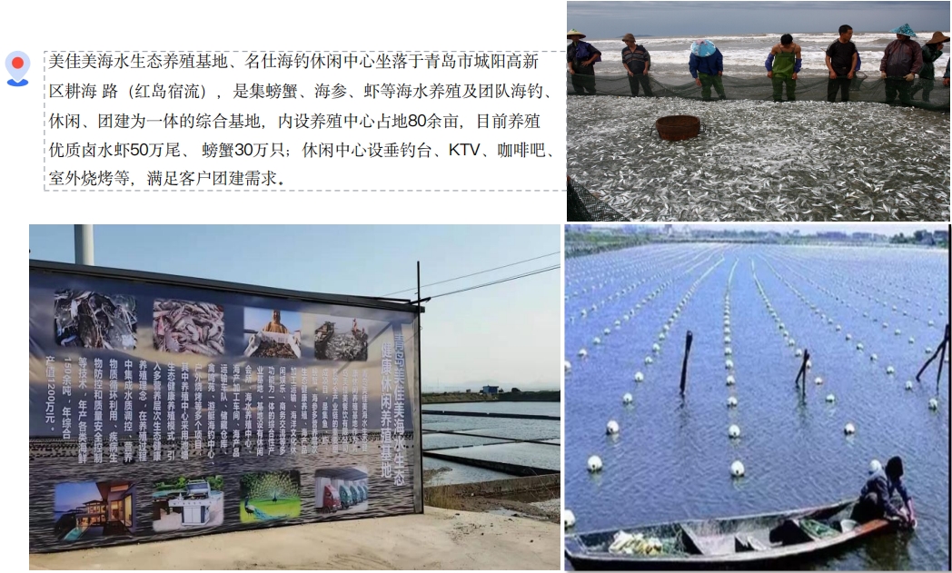 ④海水生态养殖基地实景.png