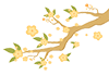 20 a.png